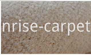 Microfiber Short Pile Carpet